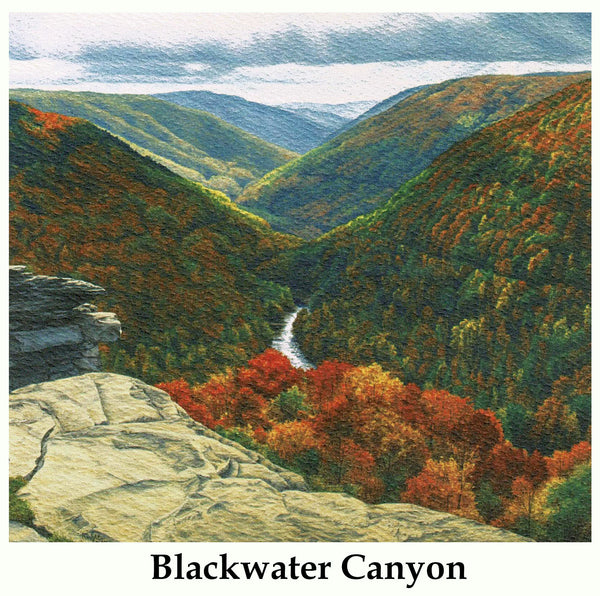 Individual Note Cards - Choose from 84 Designs