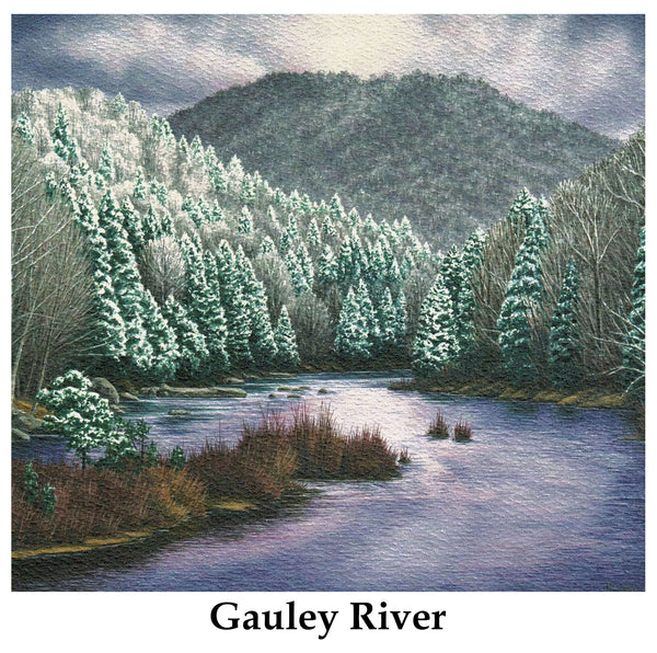 Individual Note Cards - Choose from 84 Designs