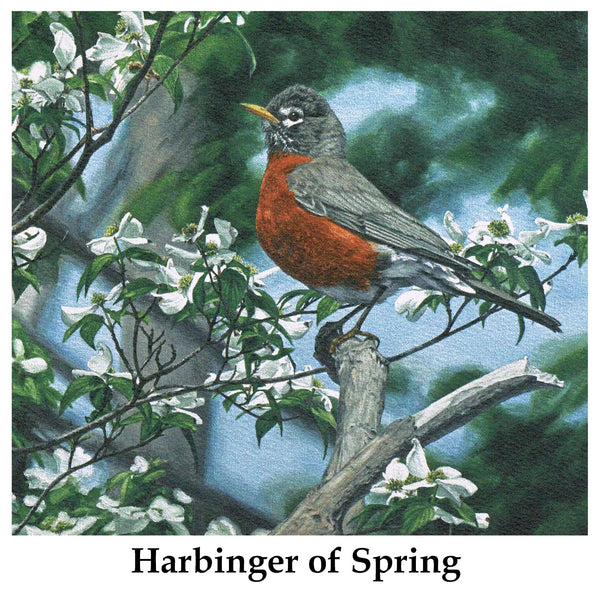Individual Note Cards - Choose from 84 Designs