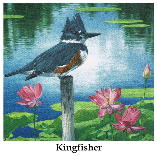Individual Note Cards - Choose from 84 Designs