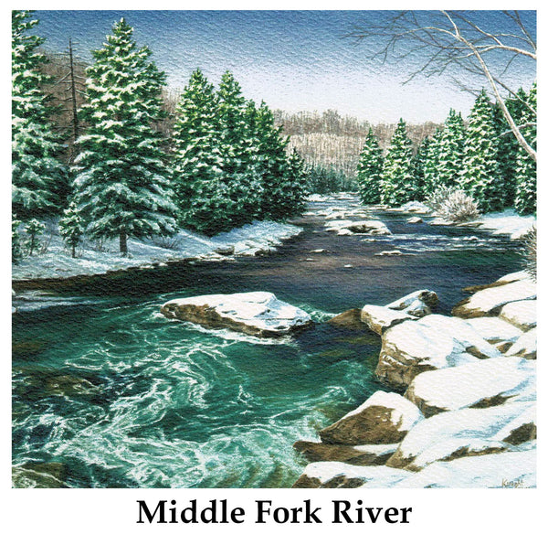 Individual Note Cards - Choose from 84 Designs