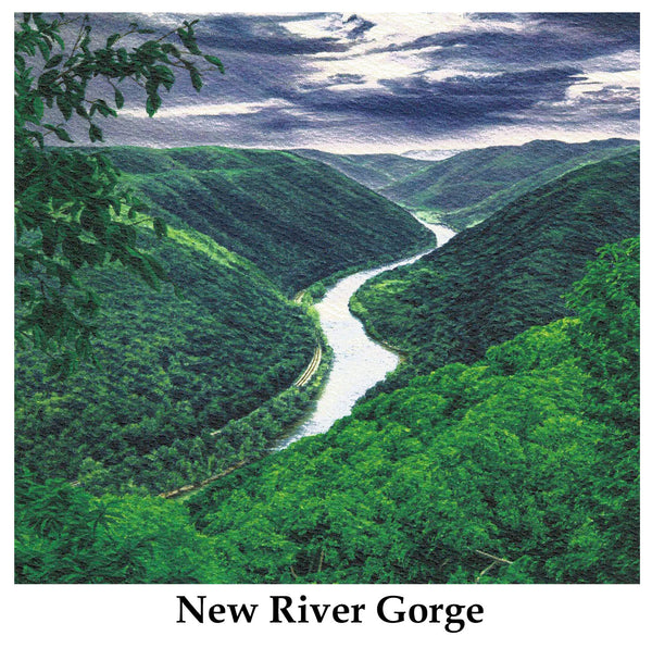 Individual Note Cards - Choose from 84 Designs