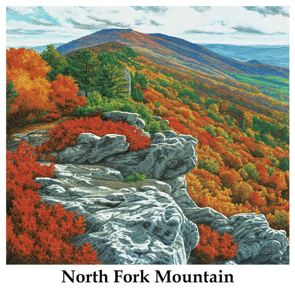 Individual Note Cards - Choose from 84 Designs