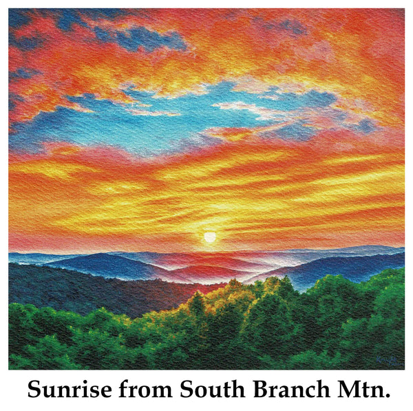 Individual Note Cards - Choose from 84 Designs