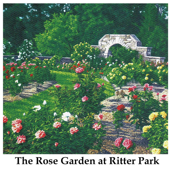 Individual Note Cards - Choose from 84 Designs