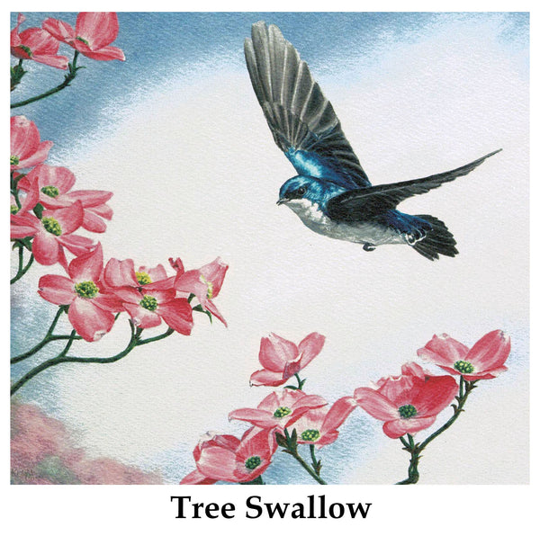 Individual Note Cards - Choose from 84 Designs