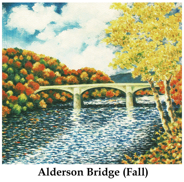 Individual Note Cards - Choose from 84 Designs