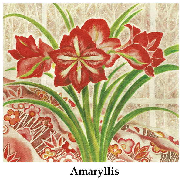 Individual Note Cards - Choose from 84 Designs