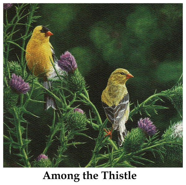 Individual Note Cards - Choose from 84 Designs