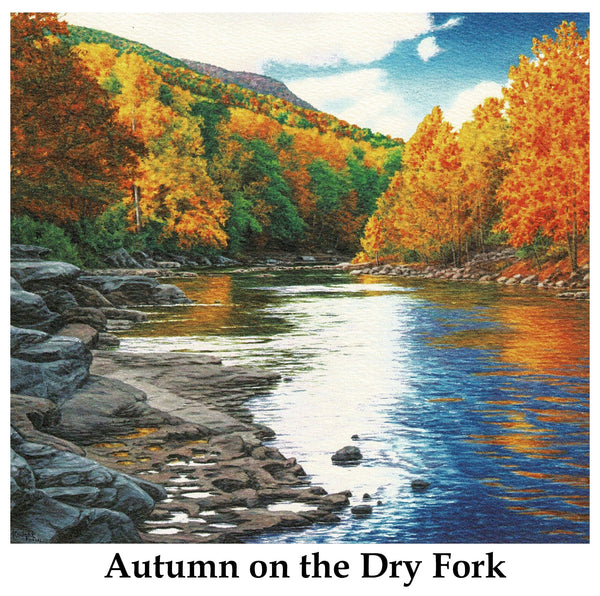 Individual Note Cards - Choose from 84 Designs