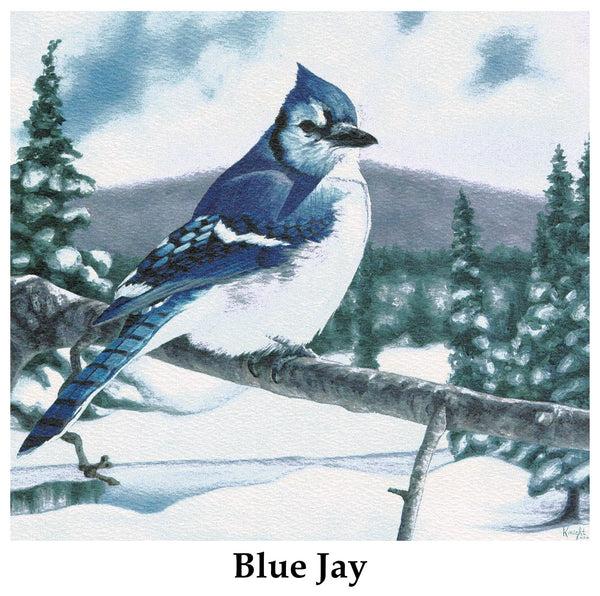 Individual Note Cards - Choose from 84 Designs