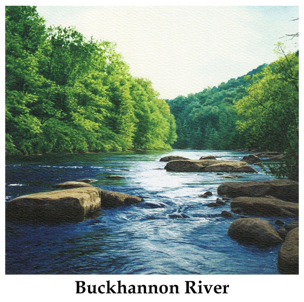 Individual Note Cards - Choose from 84 Designs