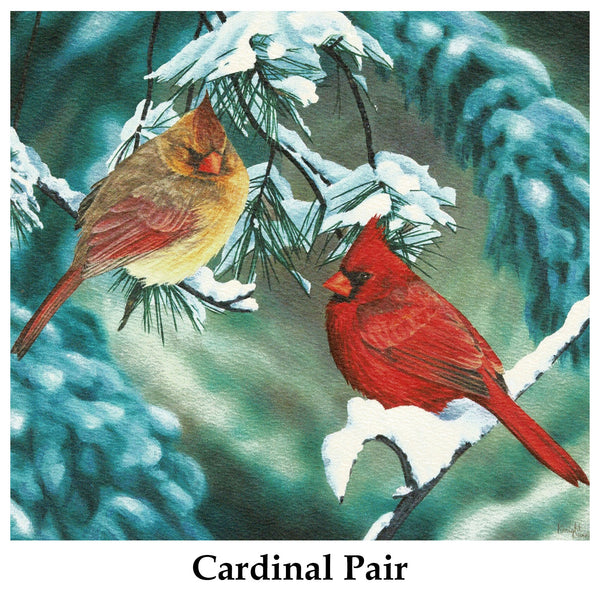 Individual Note Cards - Choose from 84 Designs