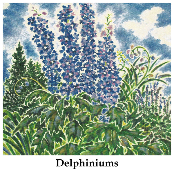Individual Note Cards - Choose from 84 Designs