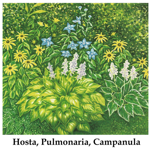 Individual Note Cards - Choose from 84 Designs