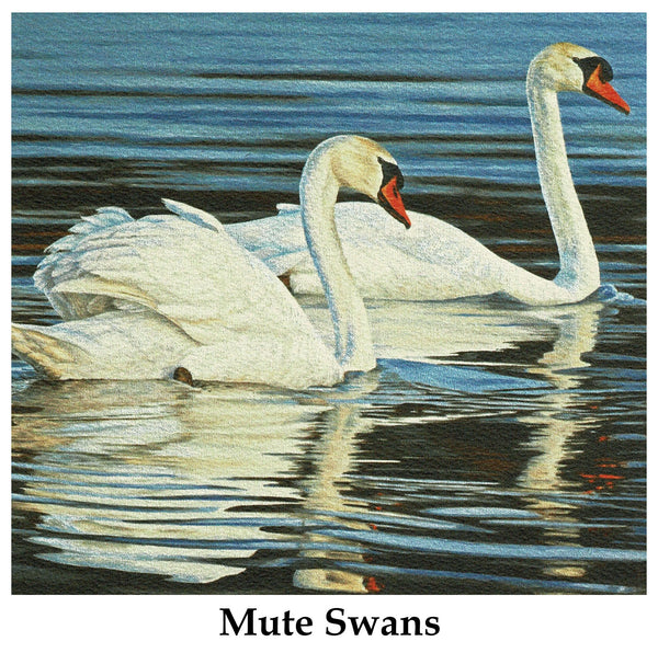 Individual Note Cards - Choose from 84 Designs