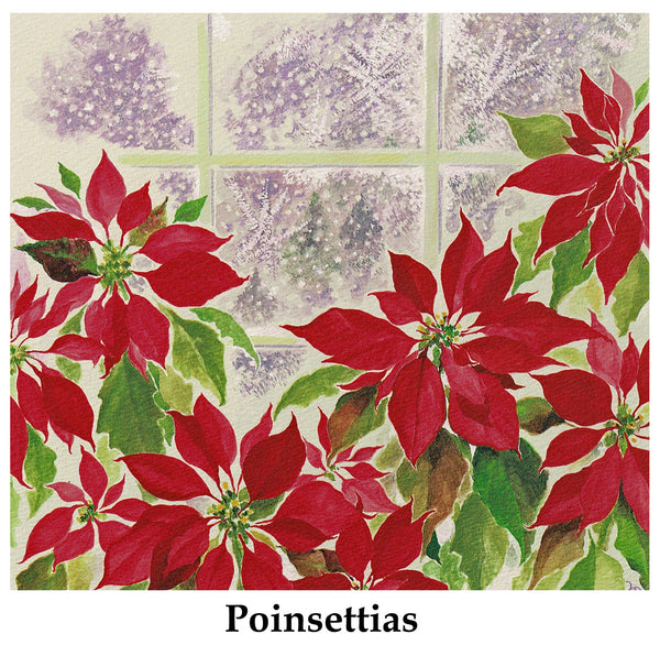 Poinsettias