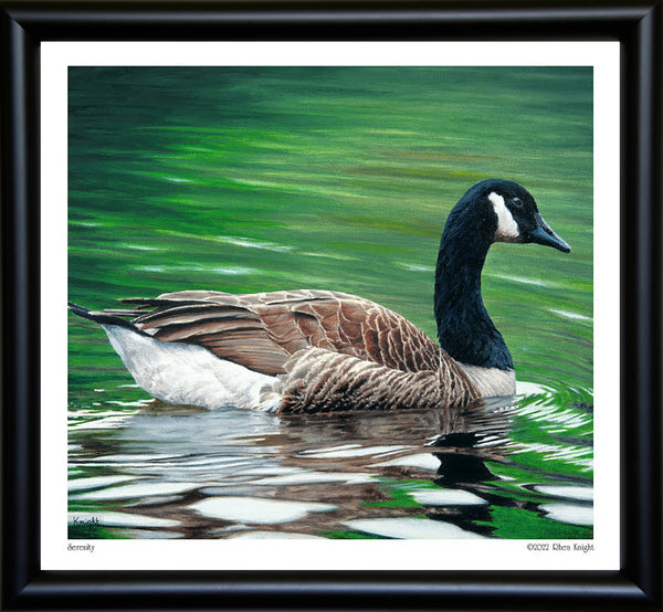 Print Frame - Black