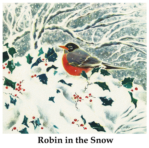 Robin in the Snow