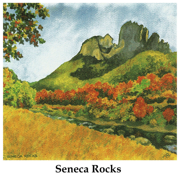 Individual Note Cards - Choose from 84 Designs
