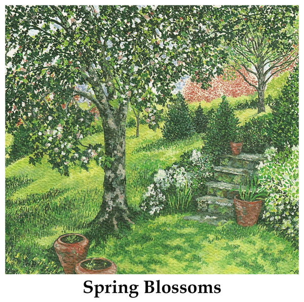 Individual Note Cards - Choose from 84 Designs