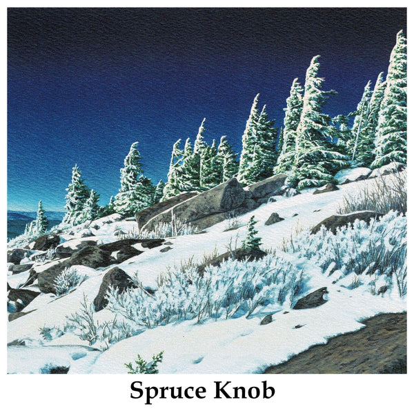 Individual Note Cards - Choose from 84 Designs