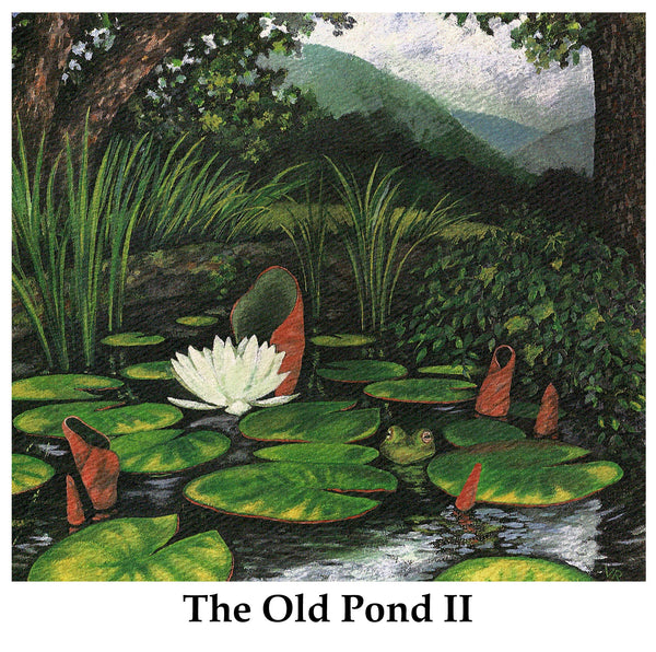 The Old Pond II