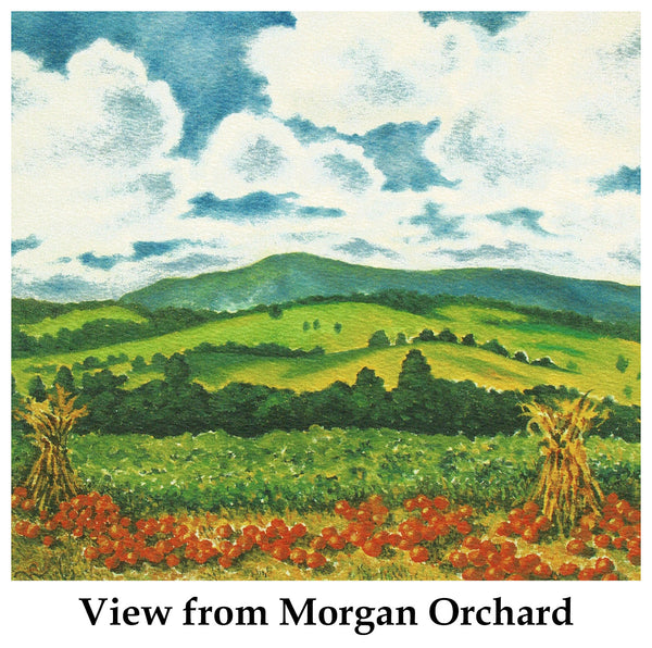 Individual Note Cards - Choose from 84 Designs