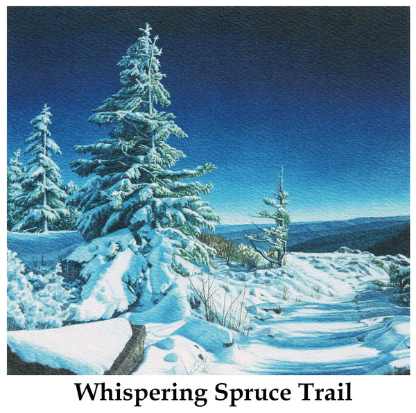 Individual Note Cards - Choose from 84 Designs