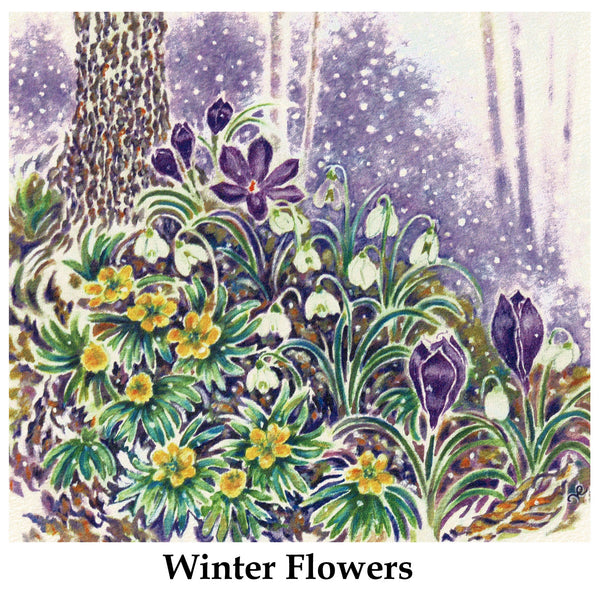 Winter Flowers