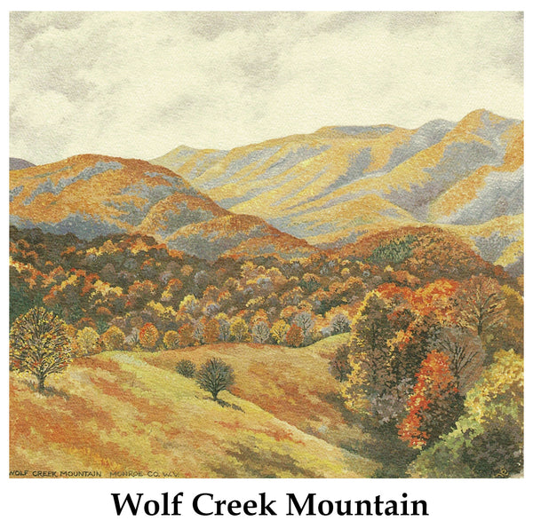 Individual Note Cards - Choose from 84 Designs