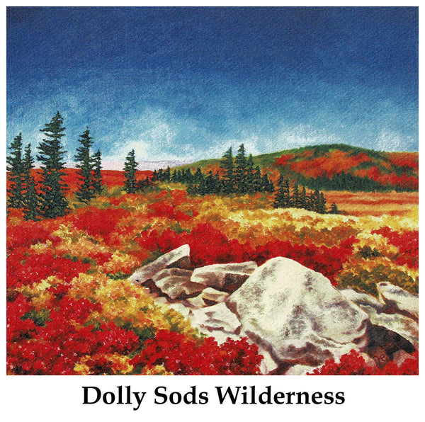 Dolly Sods Wilderness